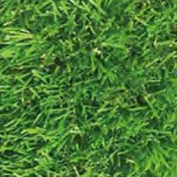 Césped Gramagreen